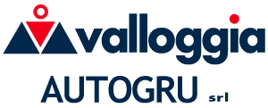 Valloggia Autogru srl: noleggio e vendita autogru, piattaforme aeree, carrelli elevatori